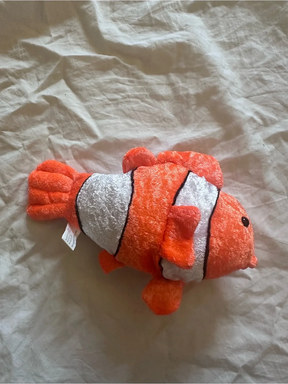 Goffa orange clownfish